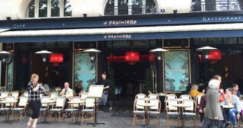 Dans la jungle de la Pépinière….