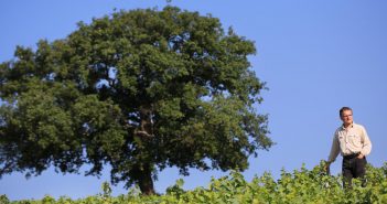 Dominique Piron à la tête d’Inter Beaujolais