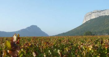 Pic Saint-Loup reconnu AOC ?