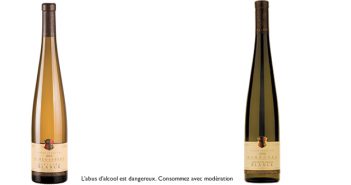 Les Grands Crus du domaine Paul Blanck
