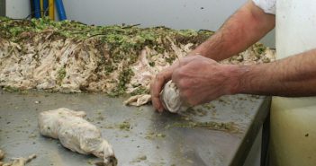 Naissance d’un géant de l’andouillette