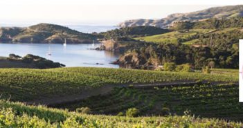 Les Côtes du Roussillon fêtent les 40 ans de leur AOP