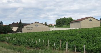 Quelques quilles beaujolaises des Domaines Piron