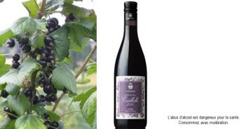 Cassis de Joseph Cartron, hors Noir de Bourgogne, point de salut !