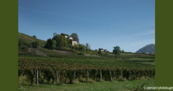 La jolie diversité du Bugey