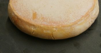 Intoxication alimentaire au reblochon : nouveau coup de semonce pour les AOP au lait cru ?