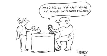 A propos du Ricard “Plantes Fraîches” !