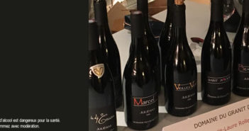 Saint-Amour 2016 domaine du Granit Doré