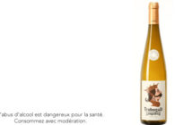 Pinot Gris 2017 Trebogad