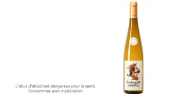 Pinot Gris 2017 Trebogad