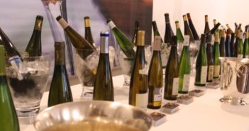 Alsace : mon bio terroir…