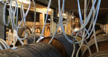 Hurst : Grand Cru Brand Riesling “S” Vieilles vignes 2015