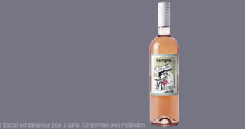 Une Cigale du Bouïs pour chanter tout l’été… et au-delà.