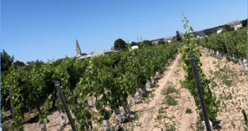 Sélection de cuvées de Saint-Nicolas de Bourgueil