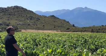 Fabrice Rieu, vigneron des altitudes
