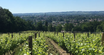 Craquez pour l’AOC Rosette !