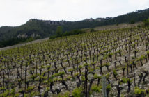 Sélection de Terrasses du Larzac