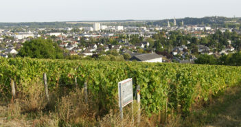 Patrice Colin- Coteaux du Vendômois
