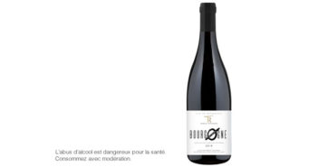 Zéro, bourgogne sans sulfites 2019 Romain Thévenard