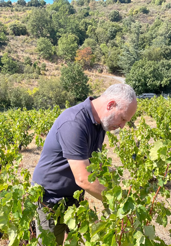 Jeff Carrel dans ses vignes